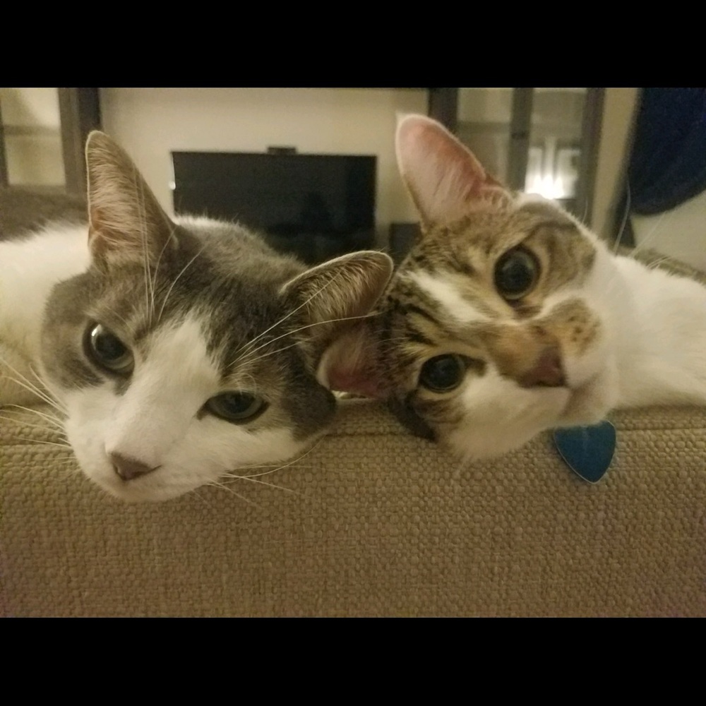 Meet your Posher, Leeanne